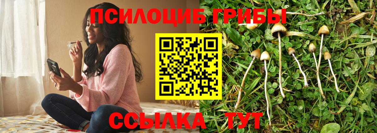 Рыбинск  где можно купить   Вход с VPN  Псилоцибиновые грибы прущие грибы  Галлюциногенные грибы GOLDEN TEACHER 